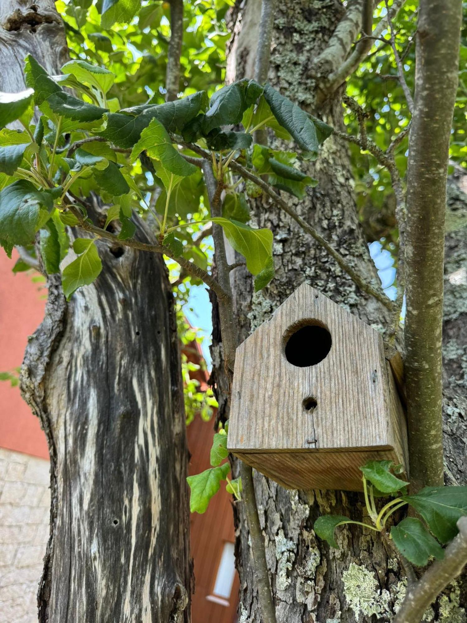 Casa Das Castanhas - Cinfaes, Viseu Экстерьер фото